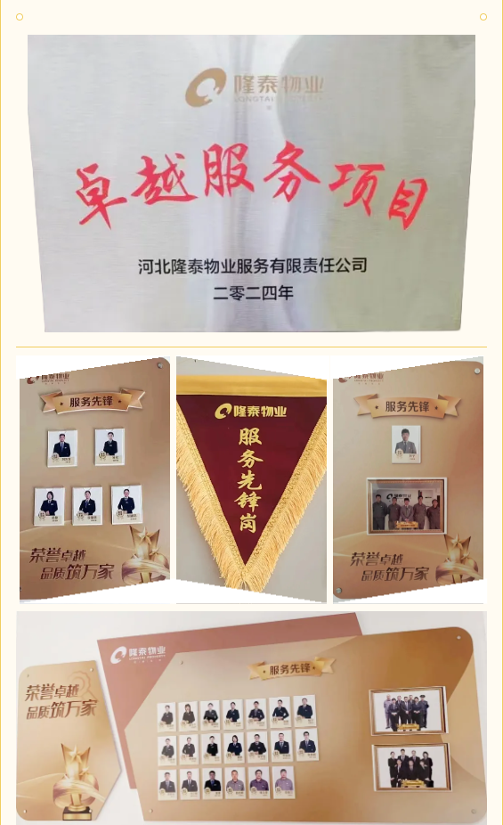 隆泰物業(yè) | 凝聚先鋒力量，彰顯責任擔當(圖5)